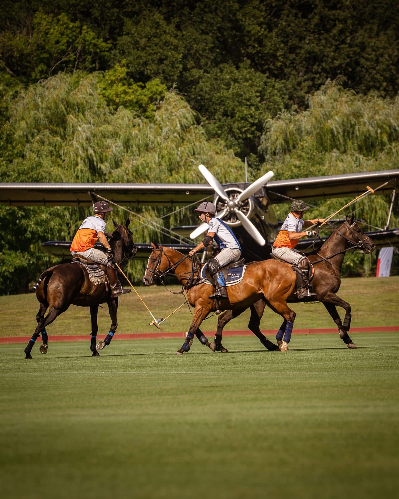 Sowiniec Polo Club